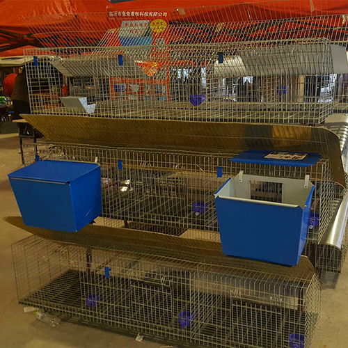 克拉玛依区商品兔子笼批发图片常用指南,云蒙湖笼具厂欧式兔笼